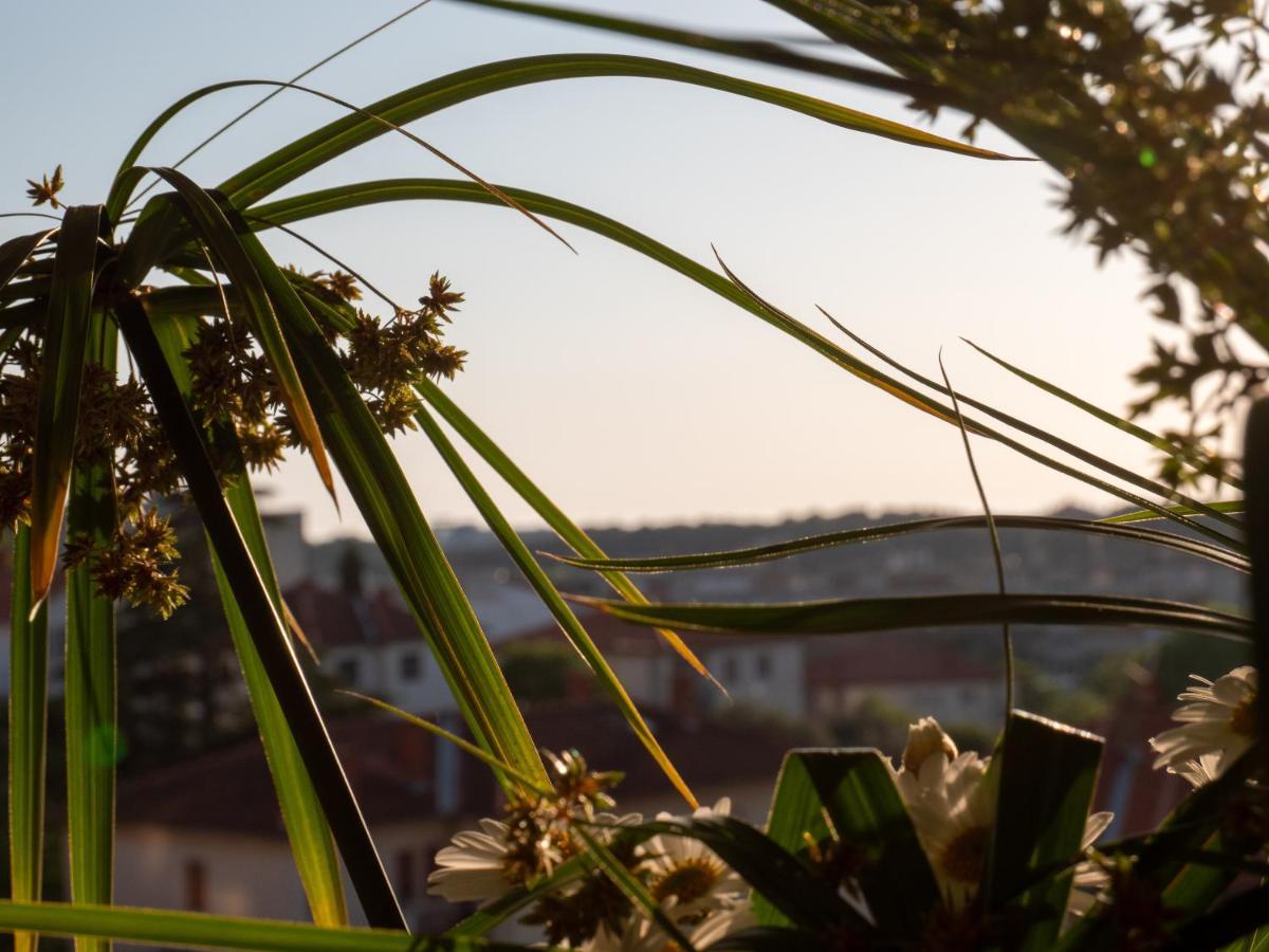 Art Apartment Sole Pula Dış mekan fotoğraf