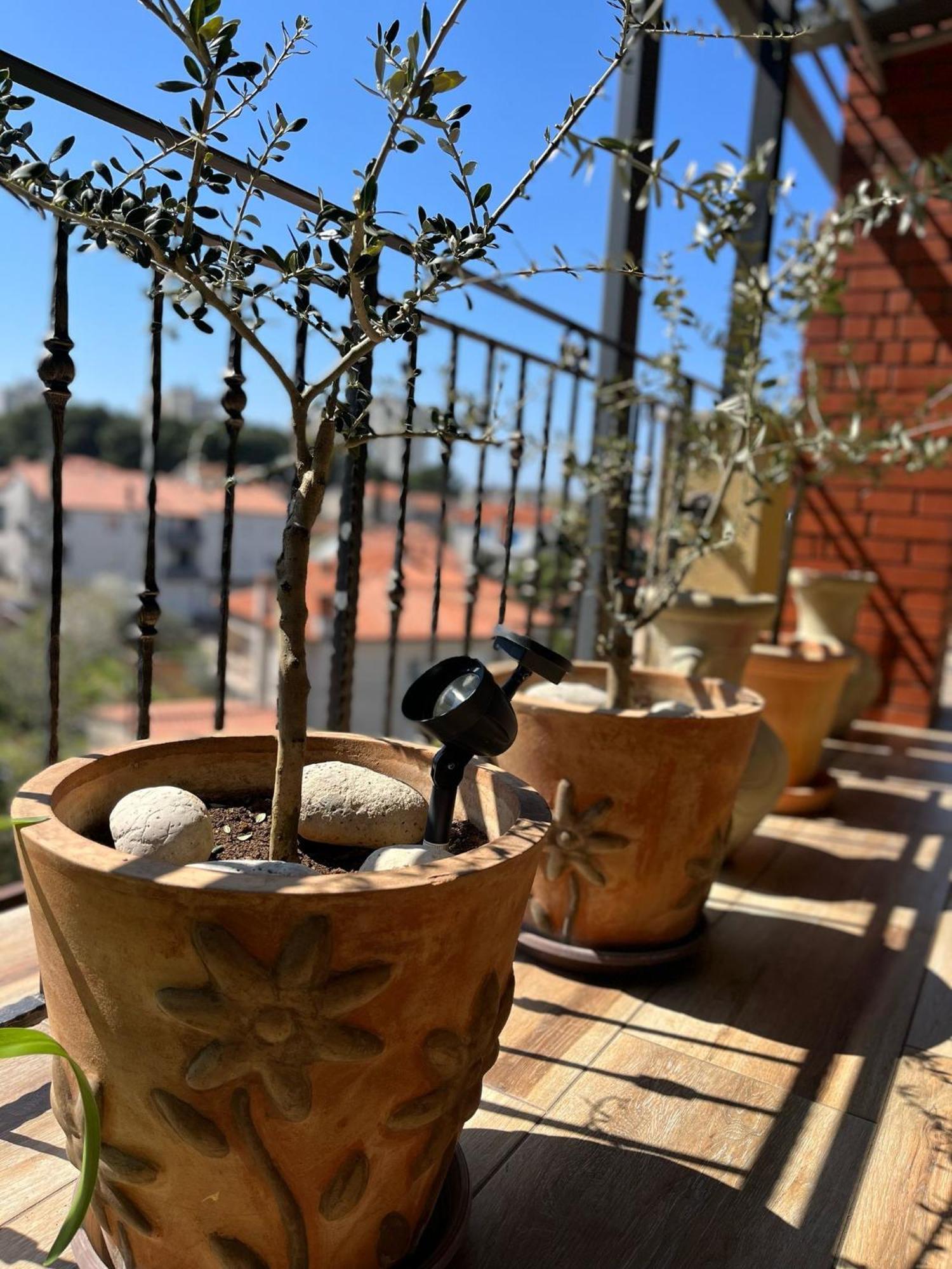 Art Apartment Sole Pula Dış mekan fotoğraf
